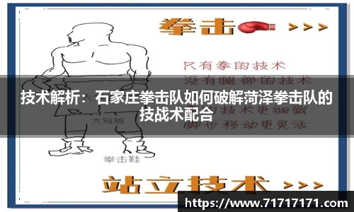 技术解析：石家庄拳击队如何破解菏泽拳击队的技战术配合